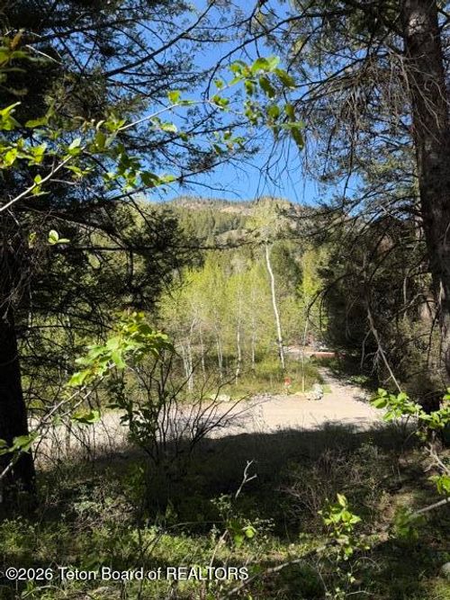 77 Redwood Road, Star Valley Ranch, WY, 83127 | Card Image