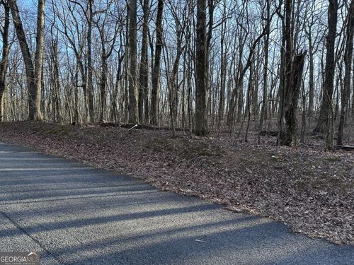 183 Saint Andrews Way, Ellijay, GA, 30536 | Card Image