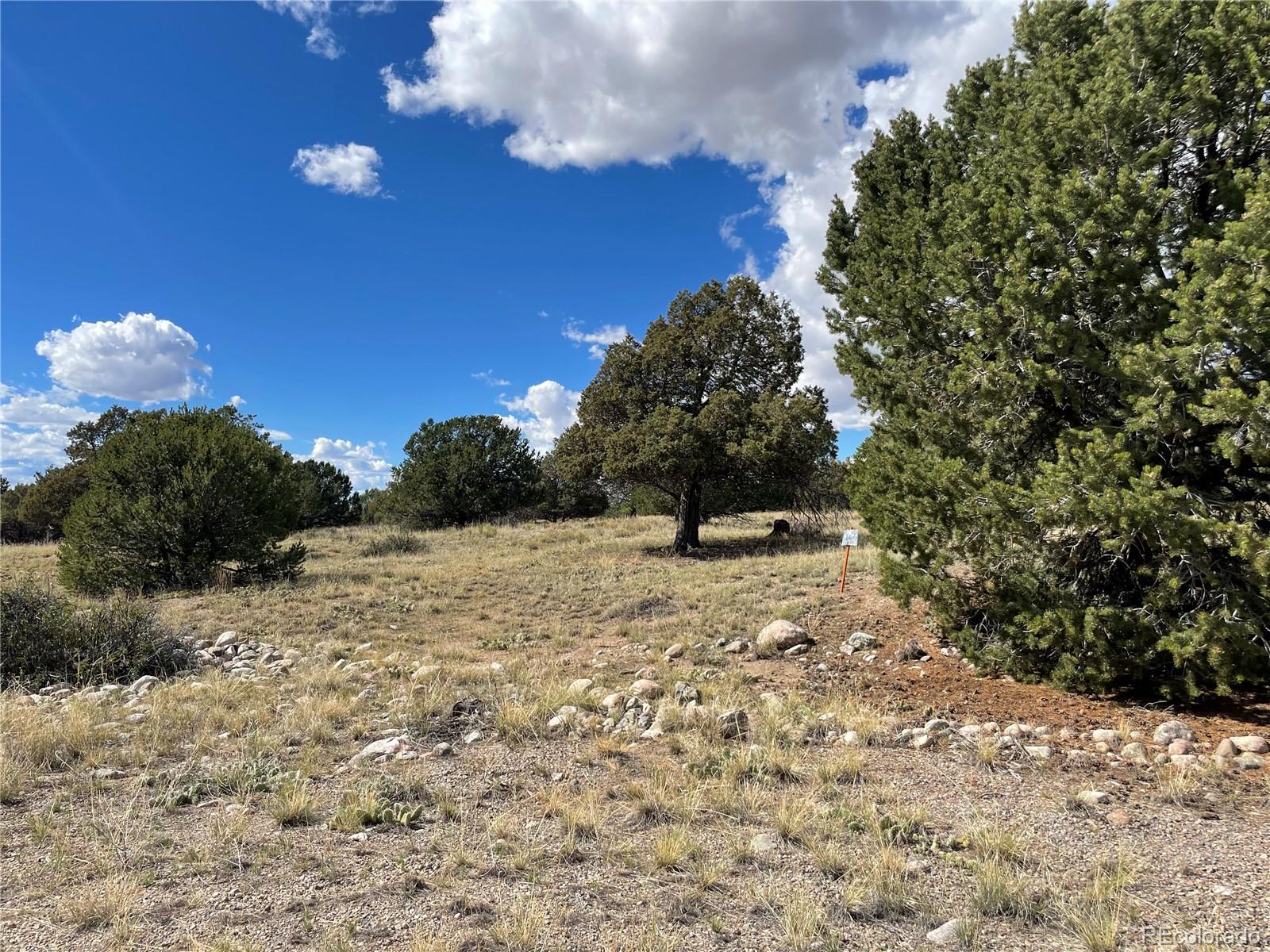 Land in Crestone 2