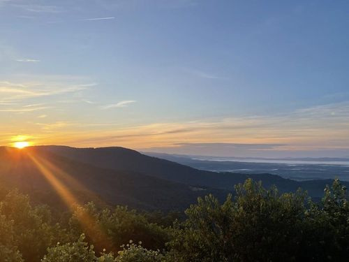 293 Scenic Way, Fancy Gap, VA, 24328-2838 | Card Image