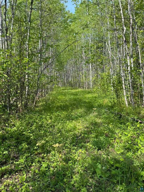 XX Fors Rd, Two Harbors, MN, 55616 | Card Image
