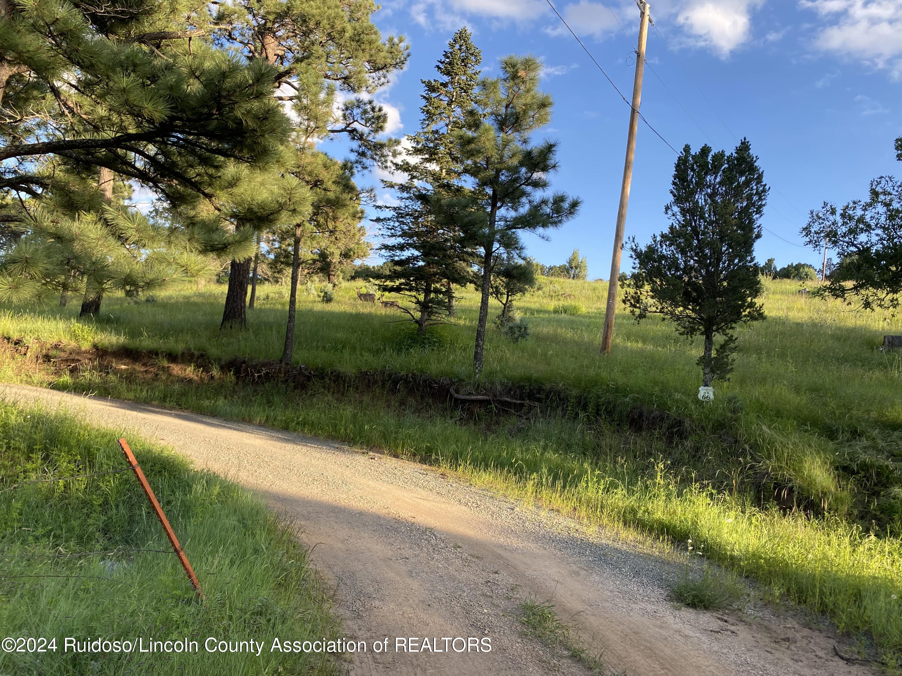 Loma Grande Rd, Nogal, NM 88341