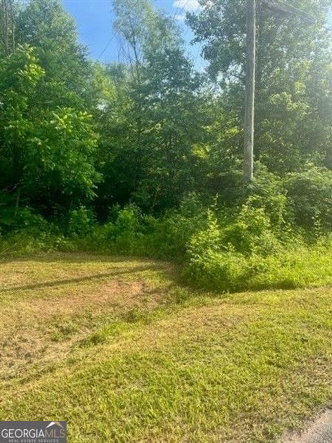 606 - 0 Watts Rd, Home with 0 bedrooms, 0 bathrooms and null parking in hiram GA | Image 4