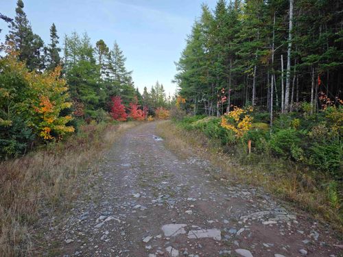 Land Highway 104, River Bourgeois, NS, B0E | Card Image