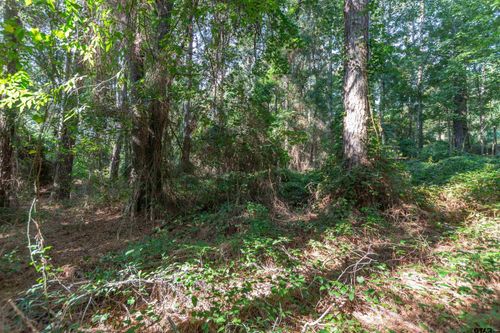 TBD County Road 1237, Tyler, TX, 75703 | Card Image