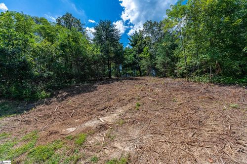 229 May Apple Way, Landrum, SC, 29356-3329 | Card Image