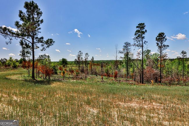 0 Kemp Rd, Home with 0 bedrooms, 0 bathrooms and null parking in Buena Vista GA | Image 24