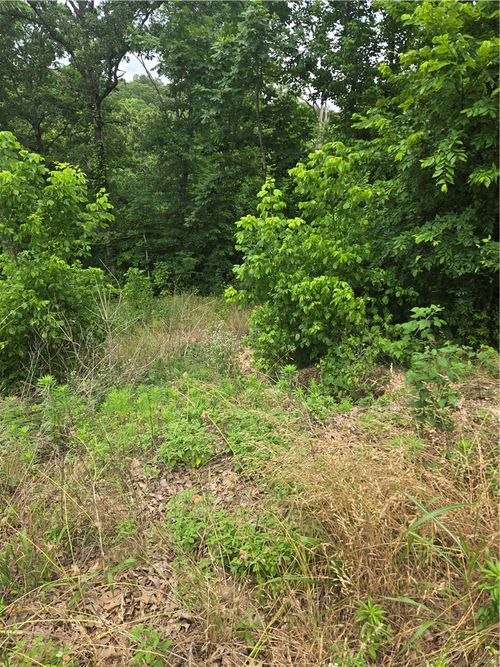 TBD Enfield Dr, Bella Vista, AR, 72715 | Card Image