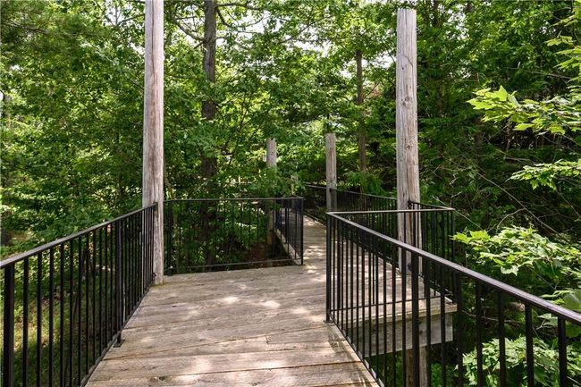 walkway to perch | Image 30