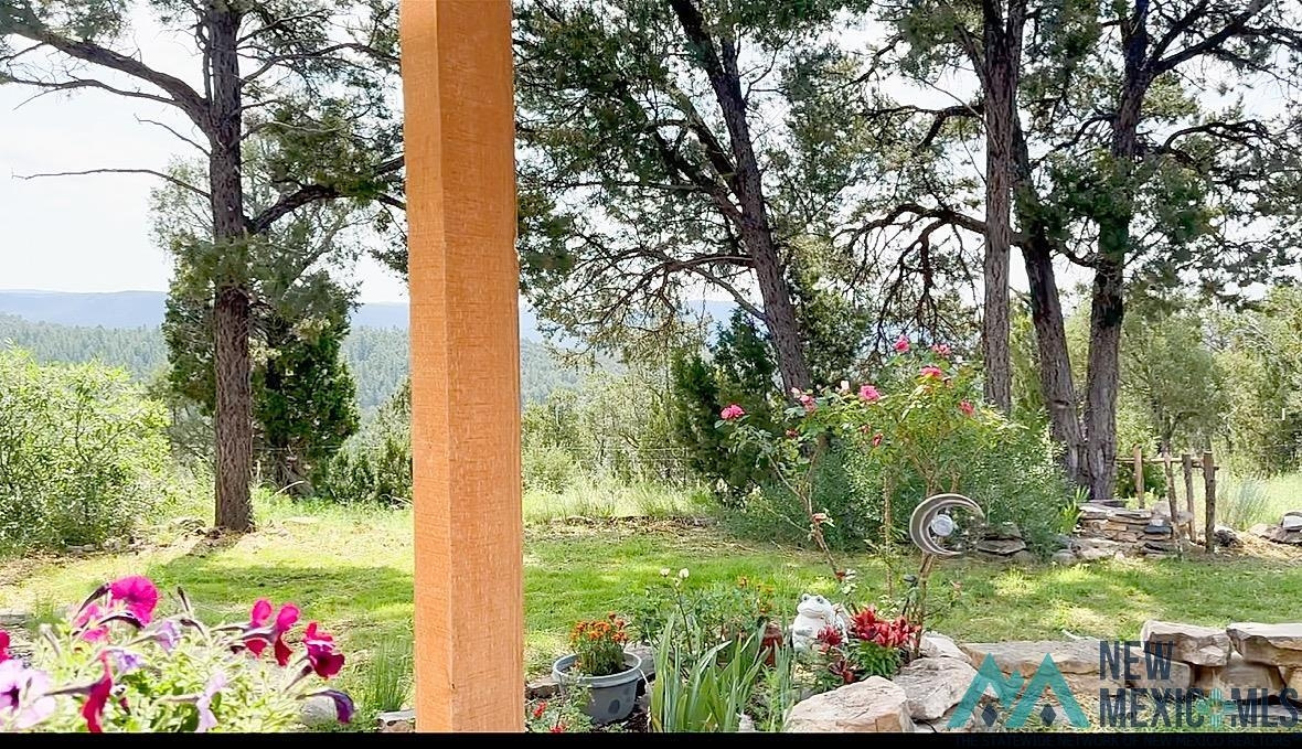 Residential in Pecos 4