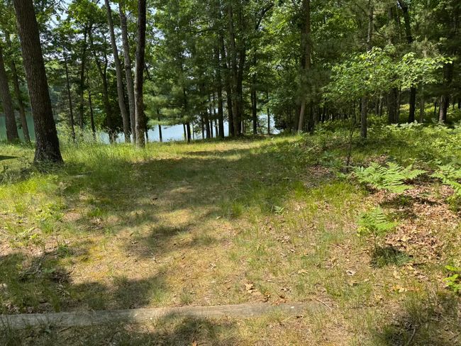 Trail down to the lake | Image 26