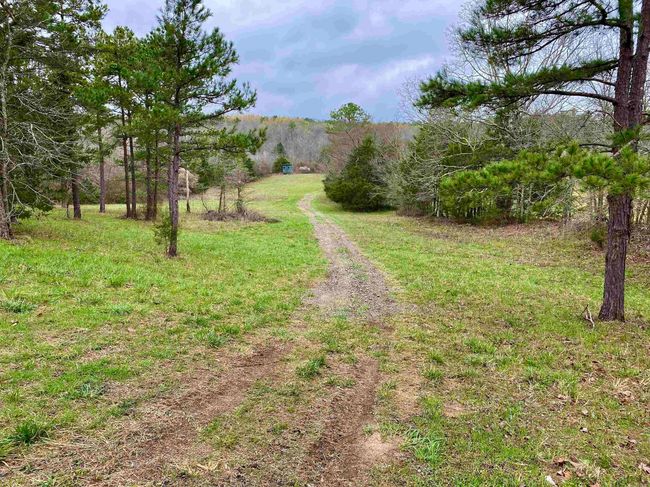 33 Collins Field Rd, Home with 3 bedrooms, 2 bathrooms and null parking in Mount Ida AR | Image 34