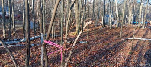 1782 Hemlock Lane, Lincoln Township, MI, 48622 | Card Image