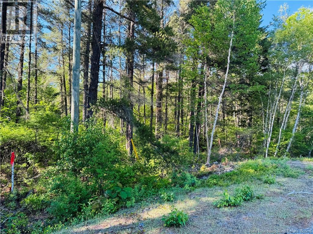 Land in Miramichi 2