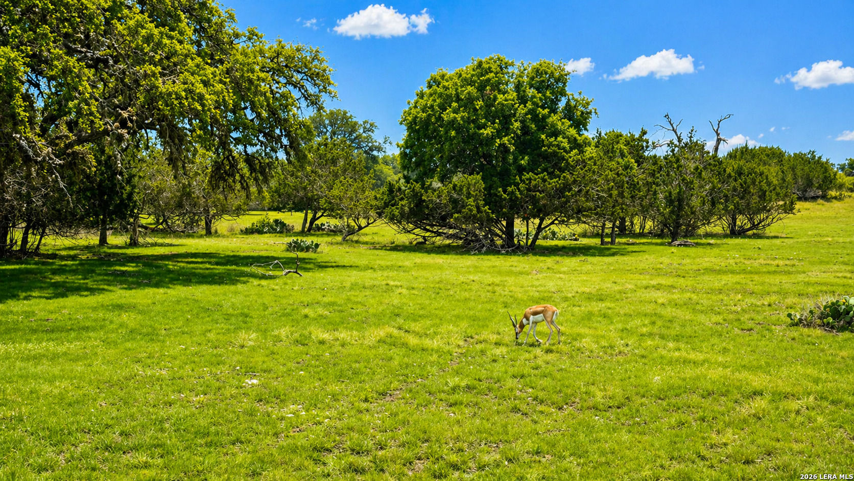 Land in Bandera 5