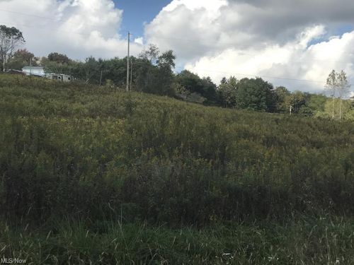 0 New Riley Rd, Dresden, OH, 43821 | Card Image