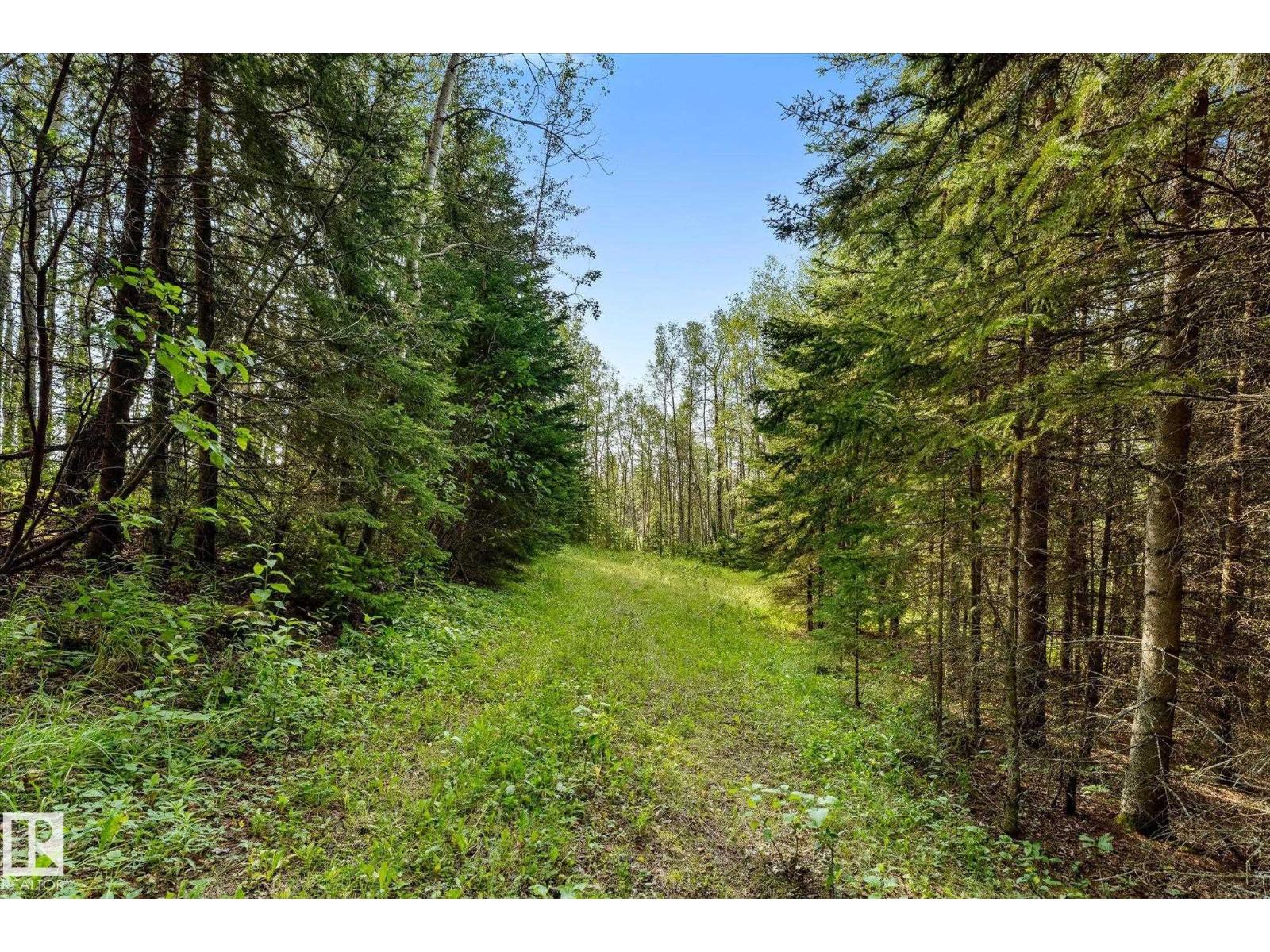 Land in Rural Wetaskiwin County 3