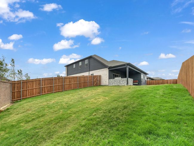 Back yard | Image 31