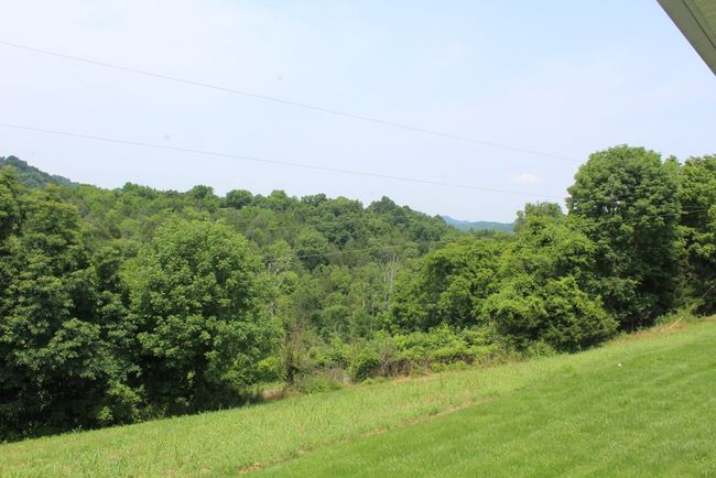 1028 Huff Hollow Rd, Home with 3 bedrooms, 2 bathrooms and 2 parking in Granville TN | Image 31
