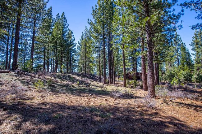 524 Lars Haugen, Home with 0 bedrooms, 0 bathrooms and null parking in Truckee CA | Image 7