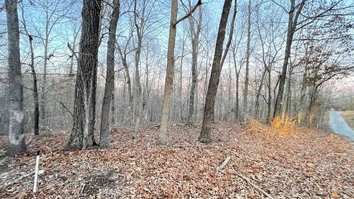 0 E Dogwood Rd, Buchanan, TN, 38222 | Card Image