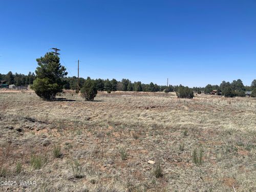 2278 Meadow Ln, Overgaard, AZ, 85933-5251 | Card Image