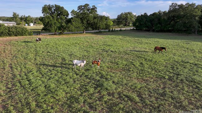 543 Narrows Rd, Home with 0 bedrooms, 0 bathrooms and null parking in Blanco TX | Image 8