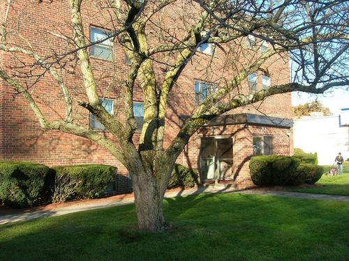 apt-6-258 Main St, North Reading, MA, 01864-1354 | Card Image