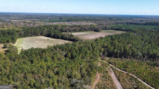 268-ACRES - 99 Old Happy Ln, Home with 0 bedrooms, 0 bathrooms and null parking in Brooklet GA | Image 27
