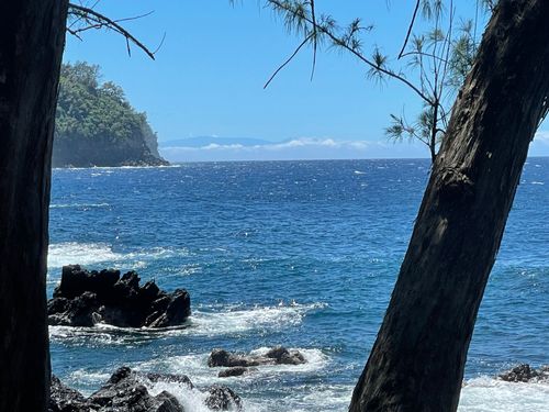 36-1070 Laupahoehoe Point Rd, LAUPAHOEHOE, HI, 96764 | Card Image