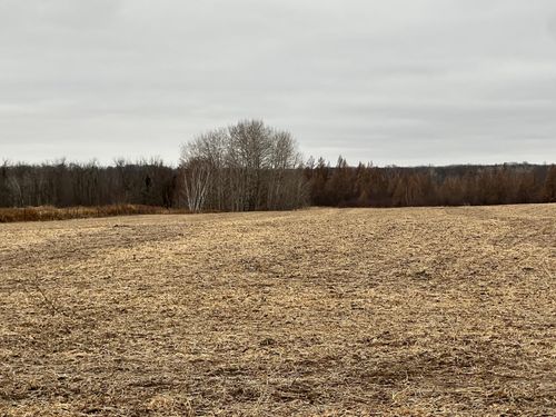 0000 Wildwood Rd, Brook Park, MN, 55007 | Card Image