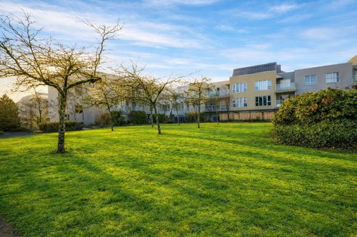 317-7800 St. Albans Rd, Richmond, BC, V6Y3Y5 | Card Image