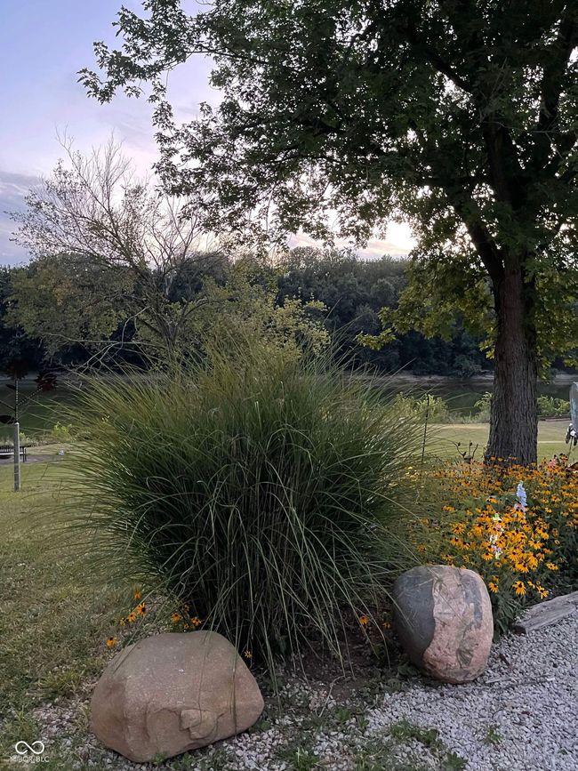 view of yard | Image 69