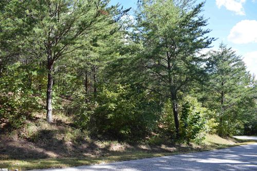 lot-3-0 Holland Dr, Columbus, NC, 28722 | Card Image