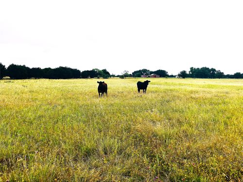 929 County Road 2357, Meridian, TX, 76665-2976 | Card Image