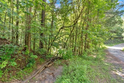 0 Whitestone Dr, Talking Rock, GA, 30175 | Card Image