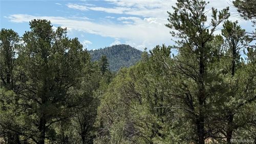 876 Q Path, Cotopaxi, CO, 81223-8787 | Card Image