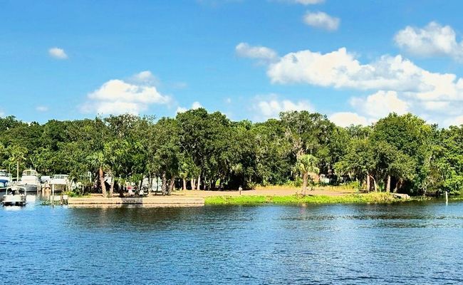 1570 Riveredge Ct, Home with 0 bedrooms, 0 bathrooms and null parking in Astor FL | Image 6