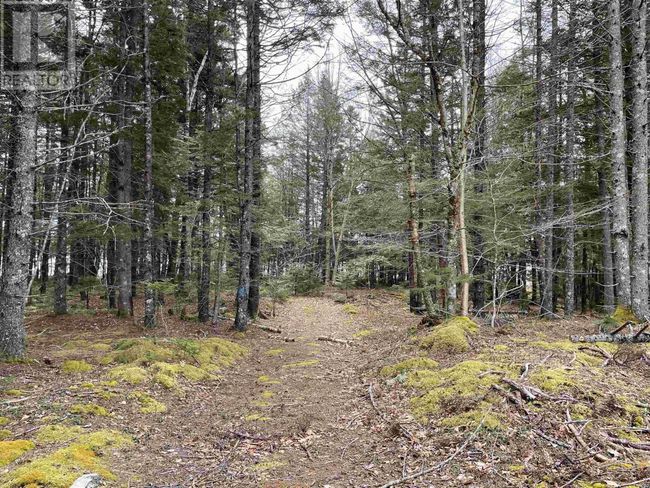 23 Huber Rd, Home with 0 bedrooms, 0 bathrooms and null parking in Camperdown NS | Image 27