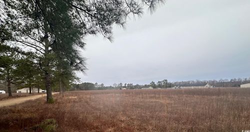 Lot E Lexyryan Ct., Latta, SC, 29565 | Card Image