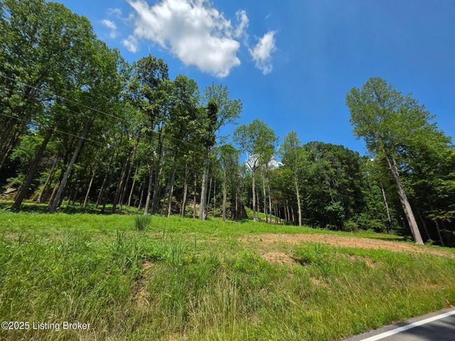 1 Cave Creek Rd, Home with 0 bedrooms, 0 bathrooms and null parking in Falls Of Rough KY | Image 6