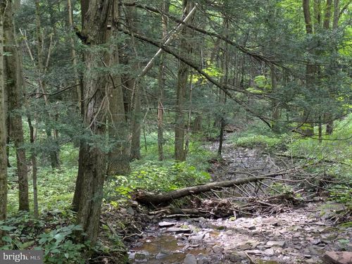 0 Berkey Hollow Rd, Alum Bank, PA, 15521 | Card Image