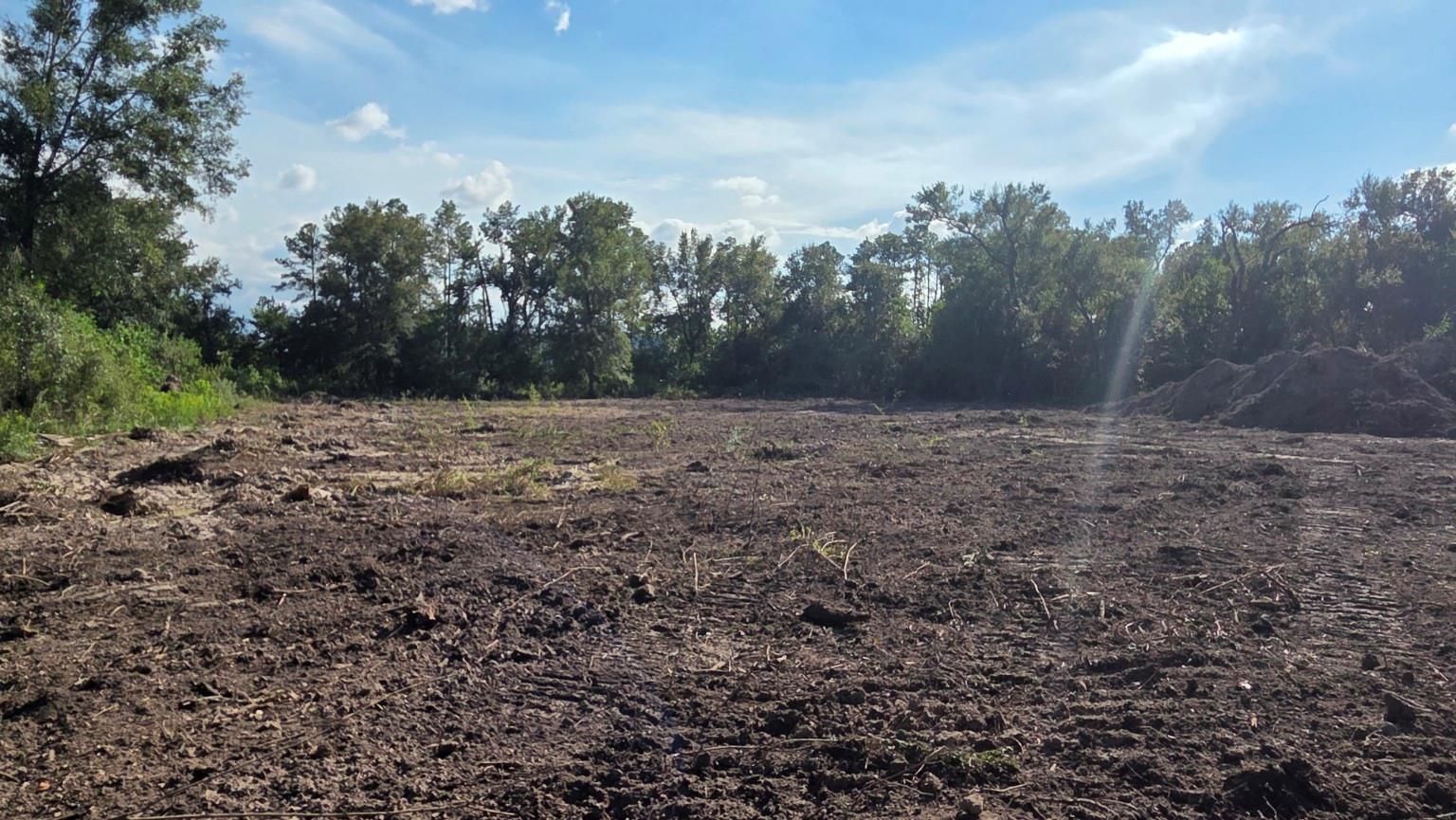 Land in Houston 3