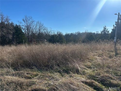 410 Nancy Dr, Lonedell, MO, 63060-1312 | Card Image