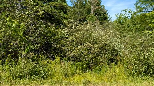 85 Palmer Landing Road, East Machias, ME, 04630 | Card Image