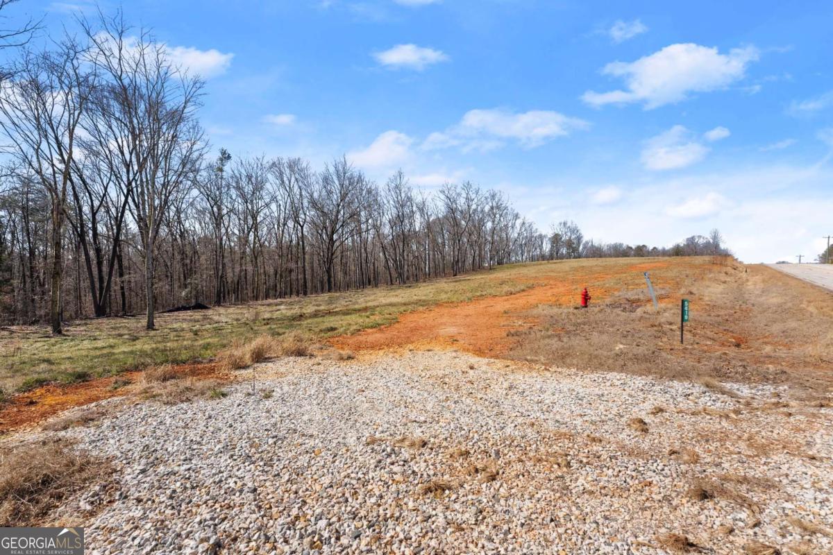 Land in Carnesville 2