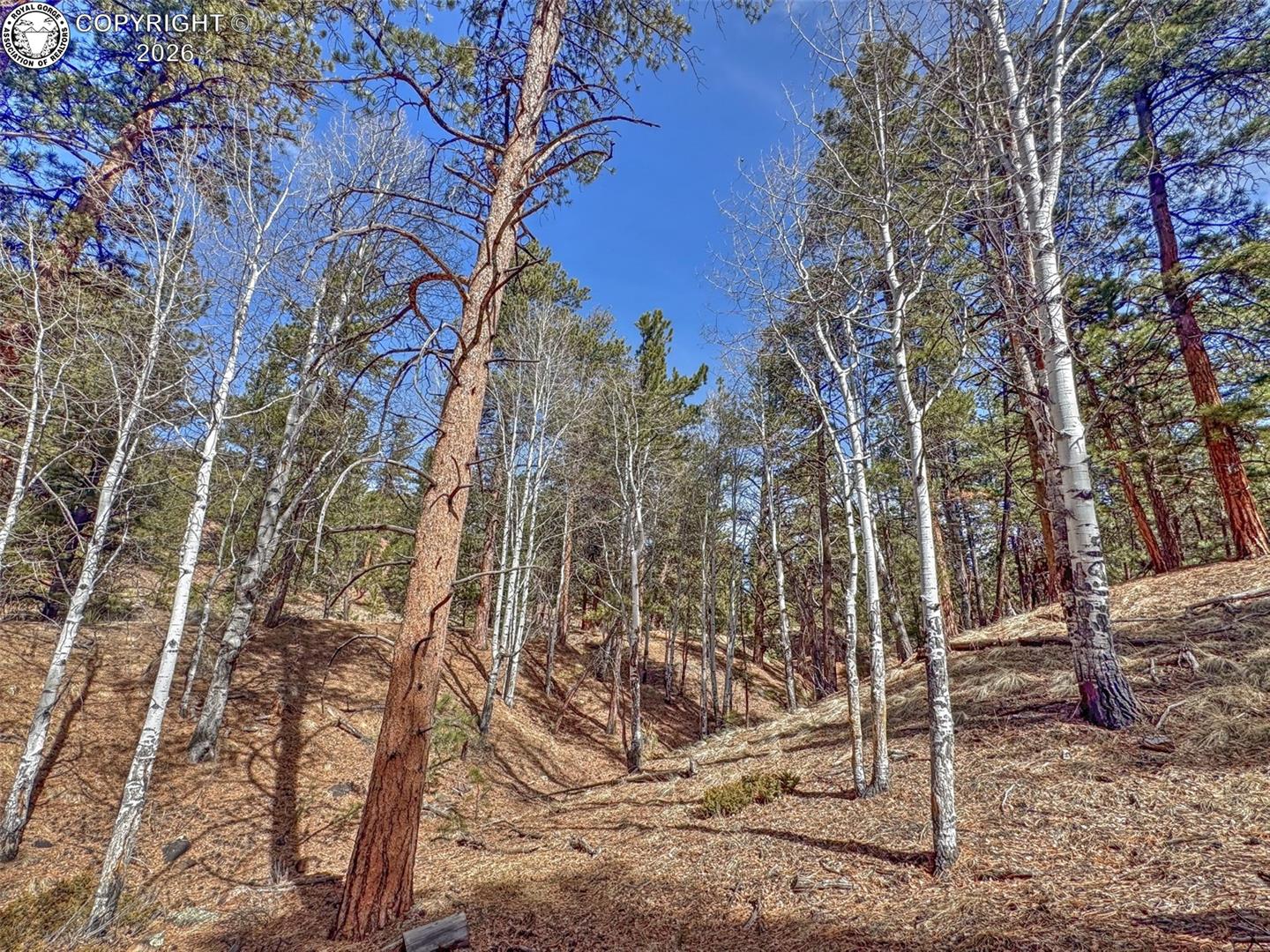 Land in Westcliffe 3
