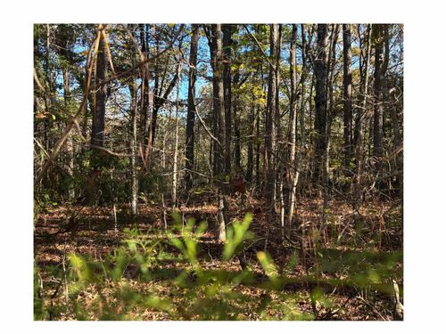 151 Woodrun Cir, Middleton, TN, 38052-4460 | Card Image
