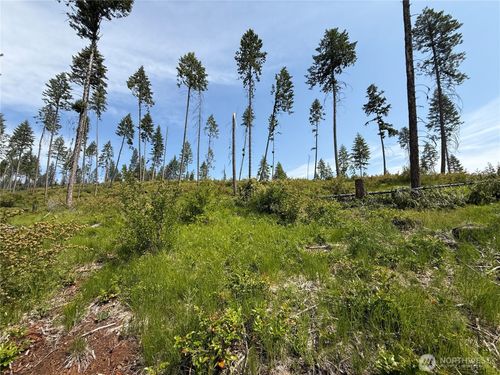 0 Lot 2 Rockabye Ln, Curlew, WA, 99118 | Card Image