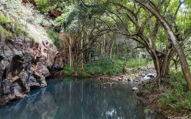 LOT-35 - 0000 Kamehameha Hwy, Home with 0 bedrooms, 0 bathrooms and null parking in Haleiwa HI | Image 7